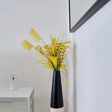 Le Verdun - Chu Apartment